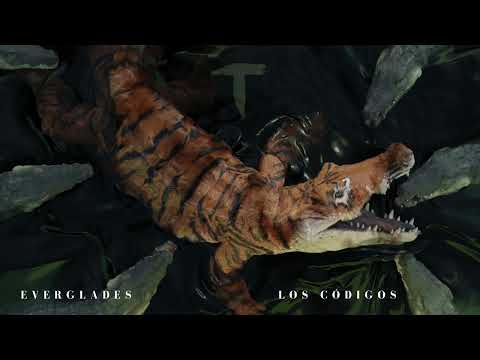 El Taiger ft Jacob Forever , The Yabo - Los Codigos (Audio Oficial)