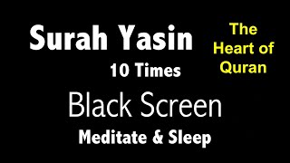 Download lagu Surah Yasin Black Screen (10 Times) for Mindfulness & Sleep | سورۃ یس | The heart of Quran mp3 Download lagu Surah Yasin Black Screen (10 Times) for Mindfulness & Sleep | سورۃ یس | The heart of Quran mp3
