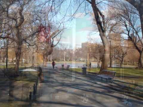 boston harvard belmont.wmv