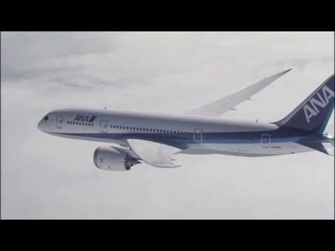ANA B787 Another Sky