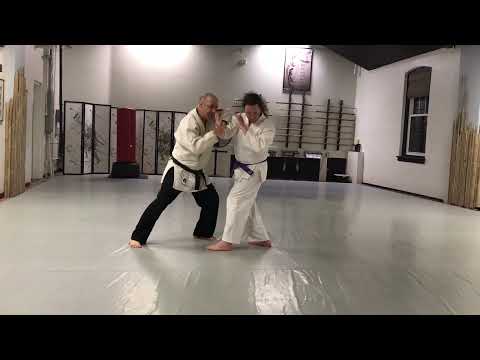 Yokomen uchi ikkyo omote (side strike with collapseing block into an arm bar takedown) #aikido
