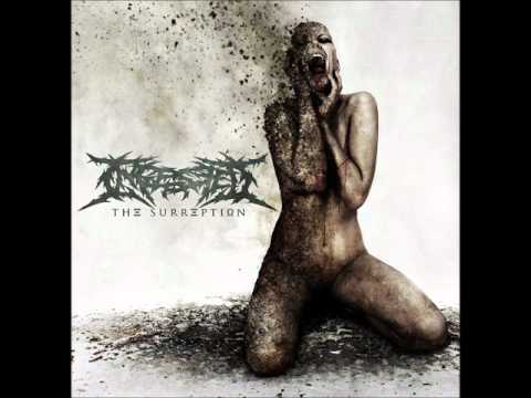 Ingested - Crowning The Abomination (HQ)