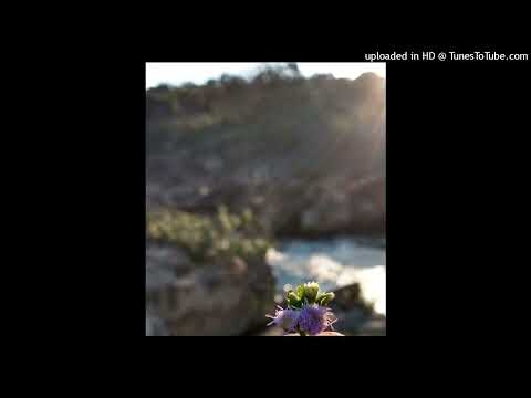 JuicyFall - SKVNK NA MINHA BLVNT