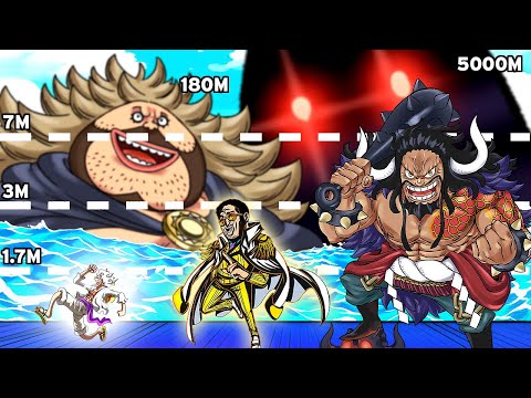 Unbelievable One Piece Size Comparison (Smallest to Biggest)