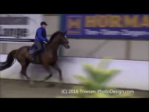 2016-01-10 Geländetraining bei Uwe Schömitz - Gruppe 8