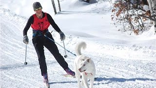 Snowmageddon 2015 NYC 311 Prank Call