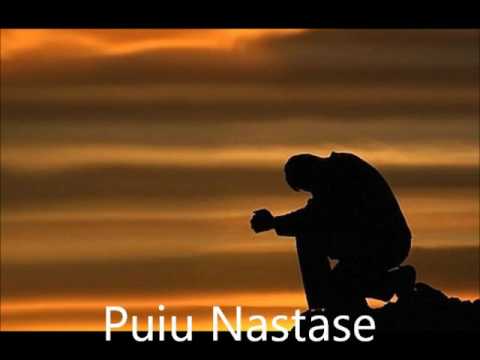 Puiu Nastase - suparat