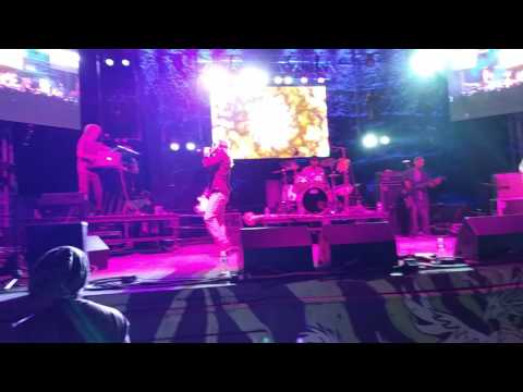 Travis Barter reggae on the river 2017