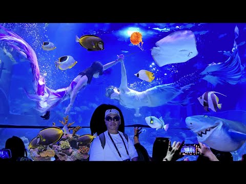 水底觀賞魔鬼魚，熱帶魚，鯊魚，美人魚超靚，恆遠海立方環遊城海洋館 