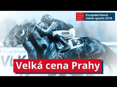 Velká cena Prahy ve Velké Chuchli