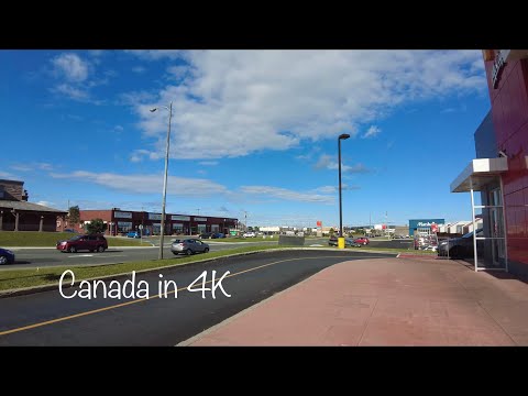 #61) St John's, NL, Canada: Walking on Stavanger Drive [4K]