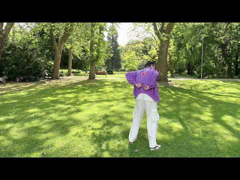 Csí önmasszázs - belső szervek - Julius Masarovich