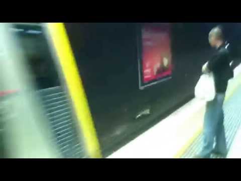 STOL Episode 151: Tangara leads late night Cronulla Service out of Redfern