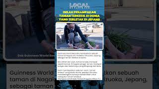 Inilah Penampakan Taman Terkecil di Dunia yang Terletak di Jepang