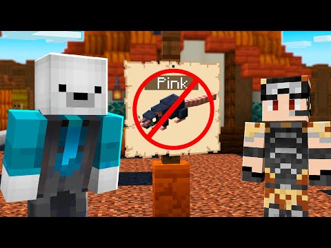 WITH THIS PLAN WE WILL DOMINATE STONKSCRAFT 2 ONCE AND FOR ALL