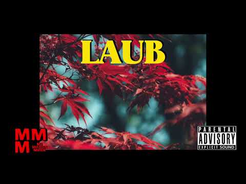 [FREE] Nimo x Dardan x Cro "LAUB" Type Beat | Free Rap Hip Hop Type Beat Instrumental