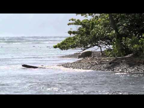 Mateia HIQUILY 15 years old aerials