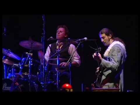 Maikel Harte - Stamhast - Henkie Tankie