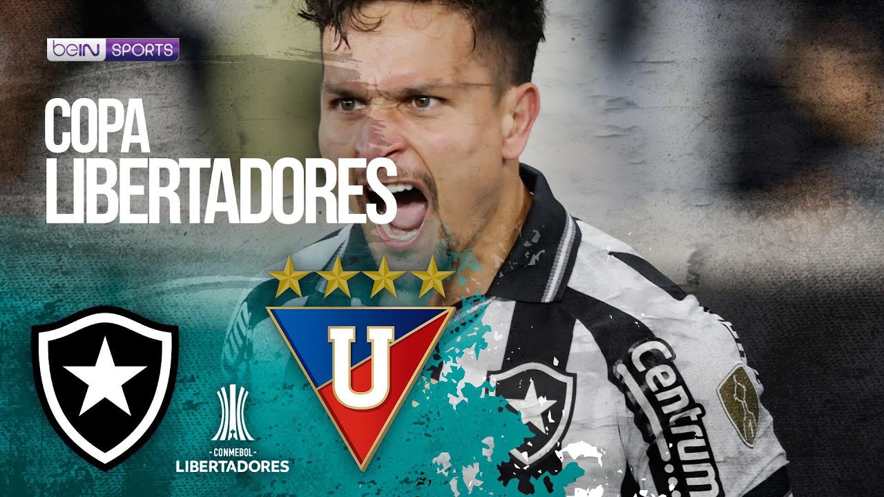 Botafogo (BRA) vs LDU Quito (ECU) | Libertadores HIGHLIGHTS | 08/14/2025 | beIN SPORTS USA