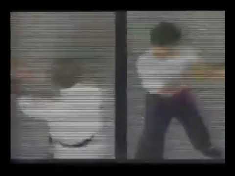 GM William Cheung The Wig Chun Way vol 2