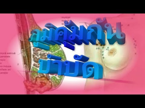 หน้าอกเล็กและตูดใหญ่ ทำไมหน้าอกเล็ก 13 ปี