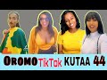 Sirba Afaan Oromoo Haaraa TikTok KUTAA 44 2023