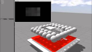 SkinSim: A Simulation Environment for Multimodal Robot Skin