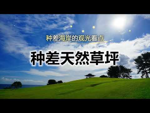 陆奥潮风步道「种差天然草坪」