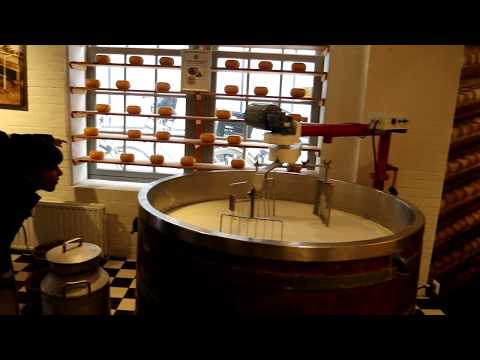 download lagu mp3 mp4 Dutch Rembrandt Cheese, download lagu Dutch Rembrandt Cheese gratis, unduh video klip Dutch Rembrandt Cheese