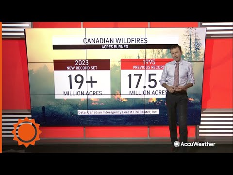 Canadian wildfires have burned an area the size of South Carolina | AccuWeather