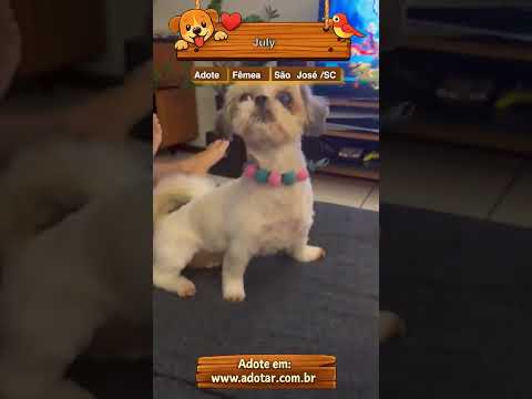 Vídeo de July