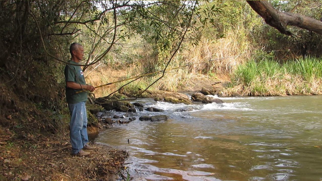 PESCANDO LAMBARI COM UM AMIGO INTERNAUTA - PARTE I
