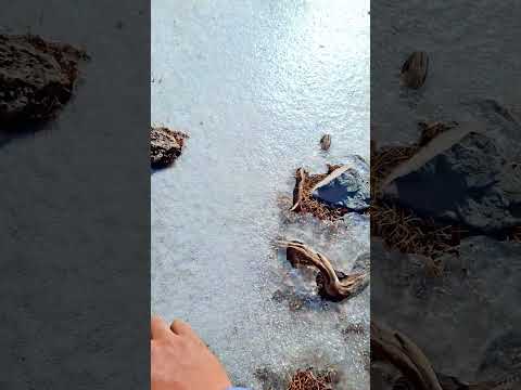 🍷 Vino con agua y hielo natural en San Antonio de Pibes | Jujuy 🌿💧-