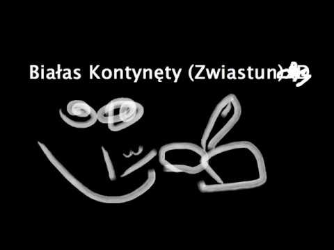 solar-bialas-intercontinental-bajers-f4z3r-remix