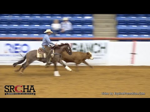 Clinton Anderson and Hulk: 2020 SRCHA Pre-Futurity Cow Work