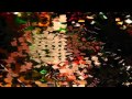 Opportunity - B.B. King was wrong