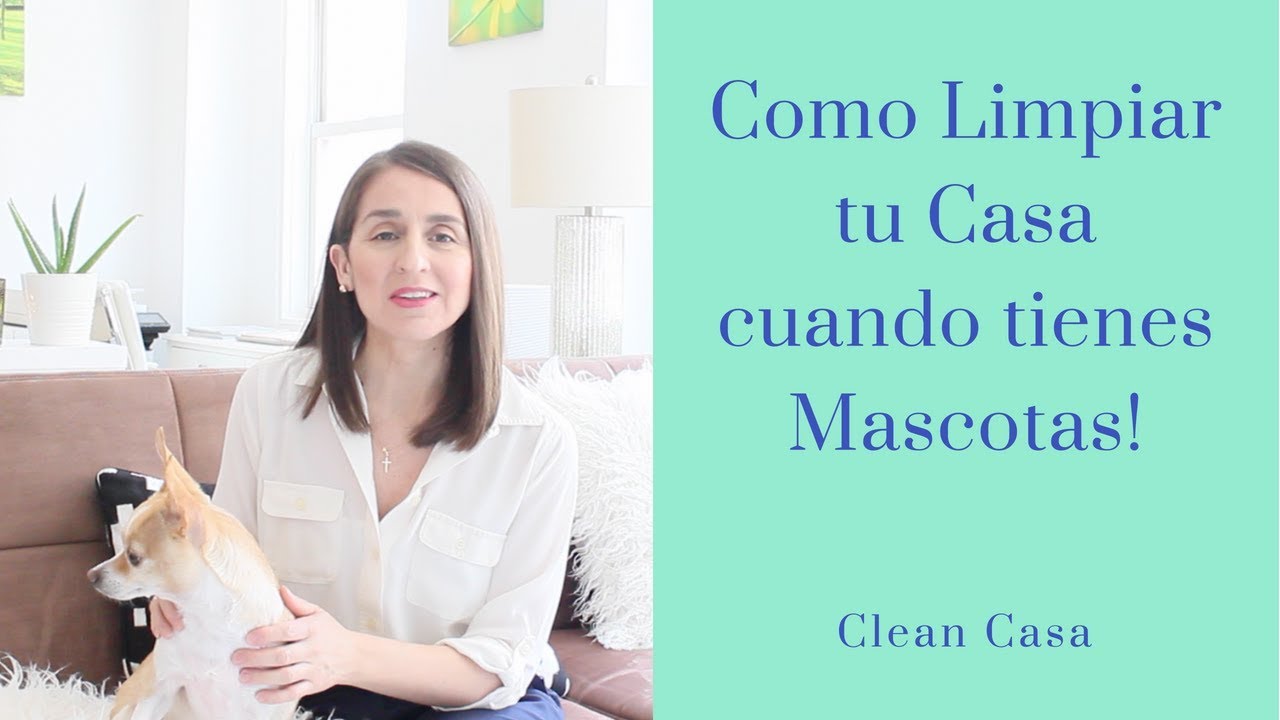 Watch Como Limpiar tu Casa Cuando Tienes Mascotas! | Clean Casa Now Como Limpiar tu Casa Cuando Tienes Mascotas! | Clean Casa
