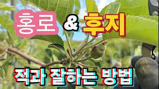 적과 잘하는 방법