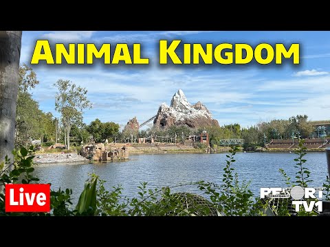🔴Live: Magical Monday at Animal Kingdom - Animals, Shopping, & More - Walt Disney World Live Stream