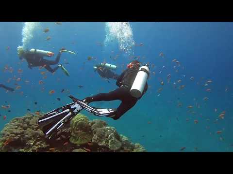 A day in the life of a Divemaster in Bali