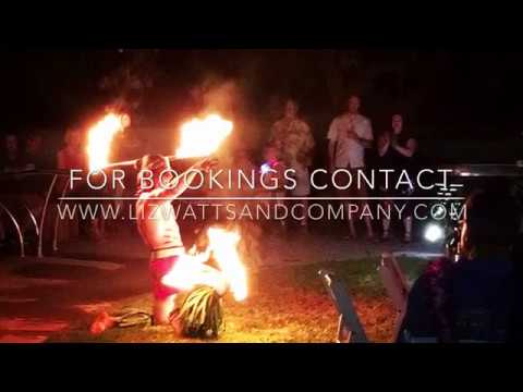 Promotional video thumbnail 17 for Liz Watts and Company