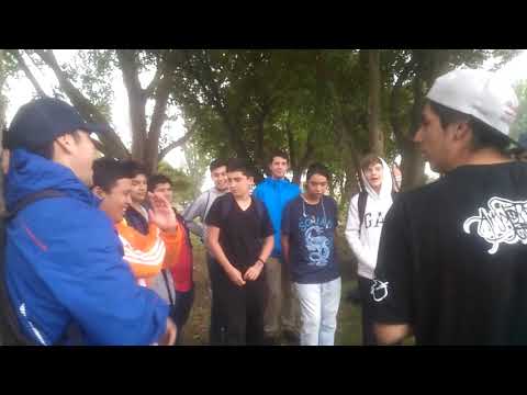 OSO vs TRANSTORNO amapolas battles