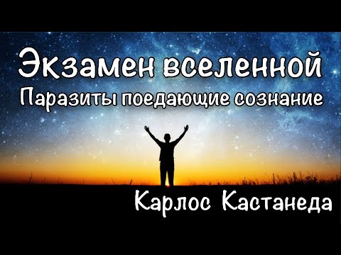 Энергетические паразиты человека. Существа поедающие осознание. Карлос Кастанеда.