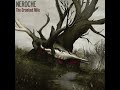 Neroche Sycamore Trees