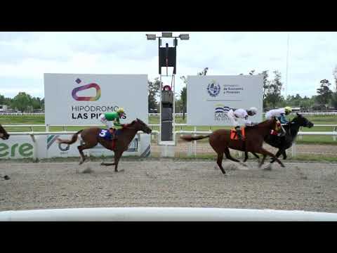 211023 c01 - SIR JONES - HIPODROMO LAS PIEDRAS