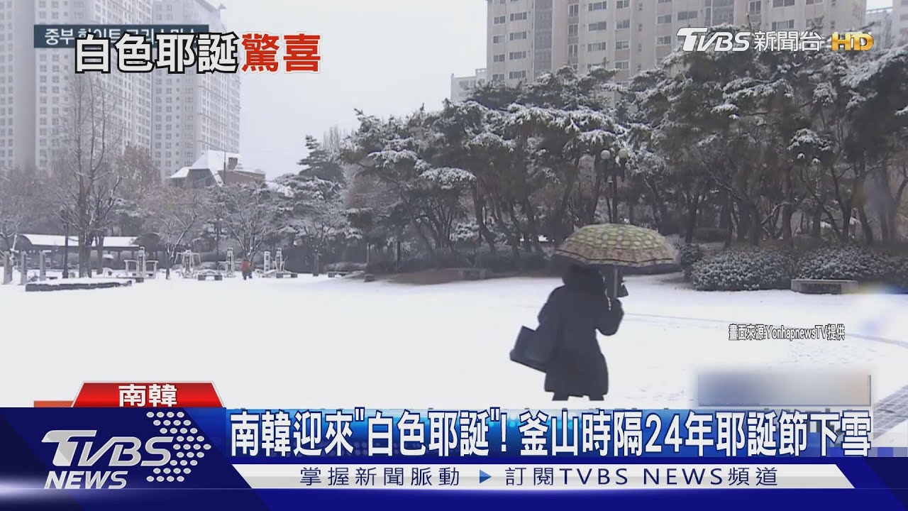 南韓迎來「白色耶誕」! 釜山時隔24年耶誕節下雪