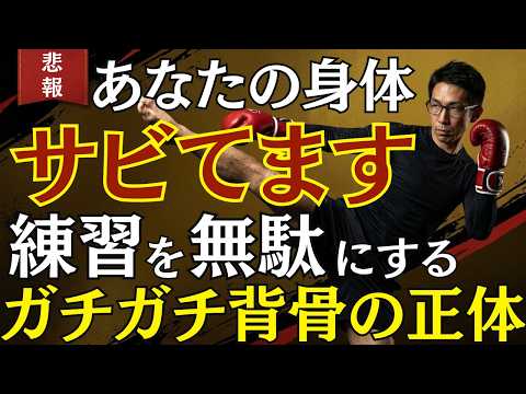 【衝撃】ジムで練習するな。23時間の「日常」で勝負は決まっているのサムネイル