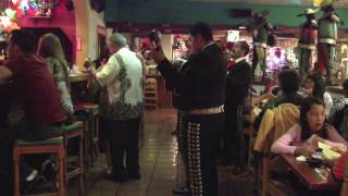 preview picture of video 'Mr Marins love at Casa Guadalajara's'