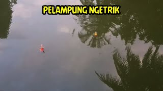 Download lagu Mancing ikan nila umpan cacing pelampung di buat ngetrik mp3