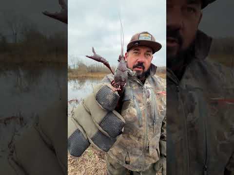 HOLLOW TAIL CRAWFISH TRICK